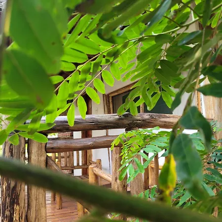 Songbird Safari Lodge & Campsite Katunguru Exterior photo