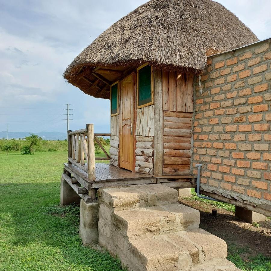 Songbird Safari & Resort