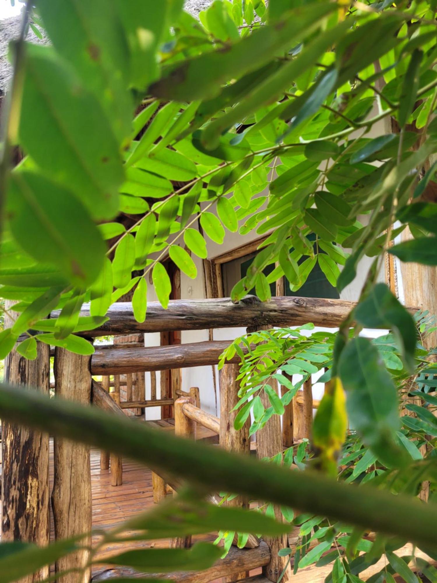 Resort Songbird Safari &