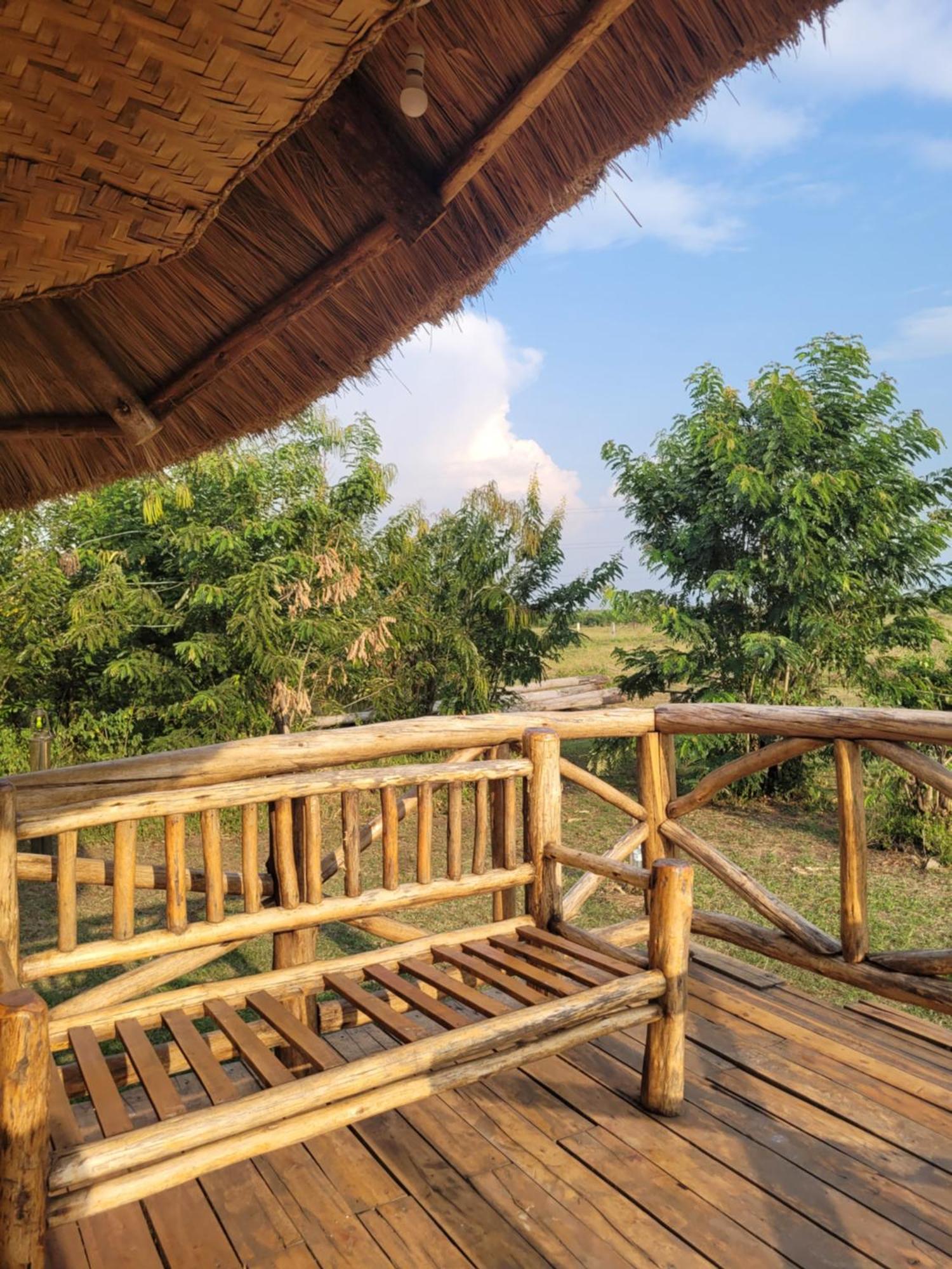 Songbird Safari & Resort
