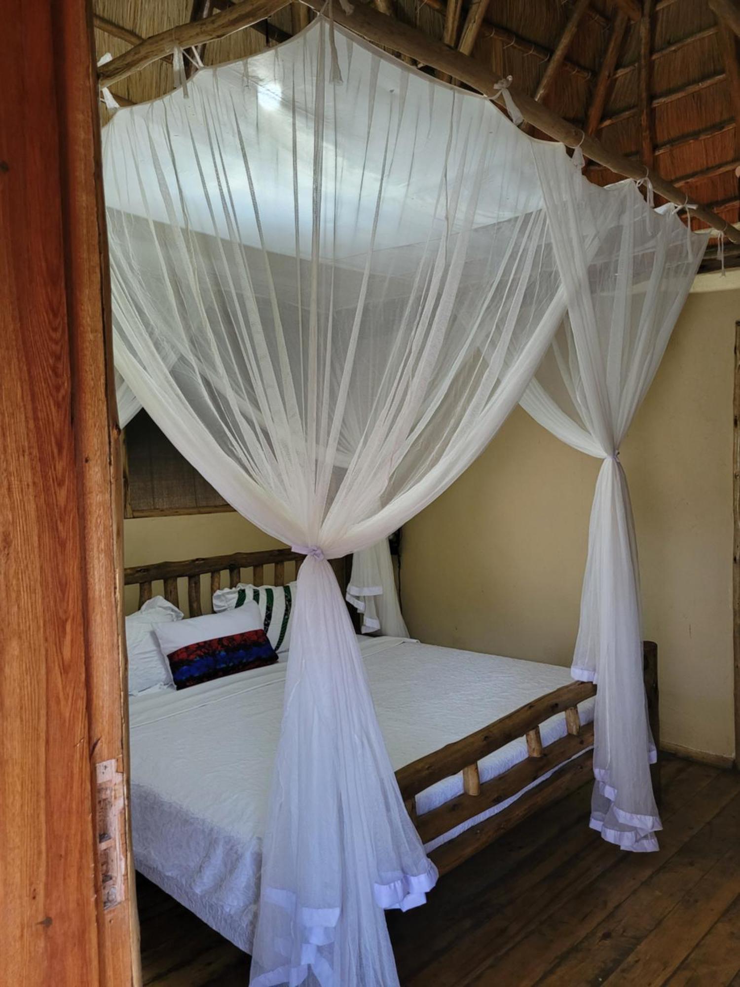 Resort Songbird Safari & *