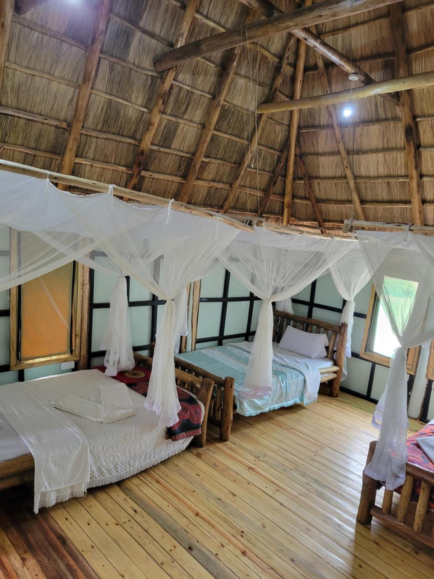 Songbird Safari & Resort